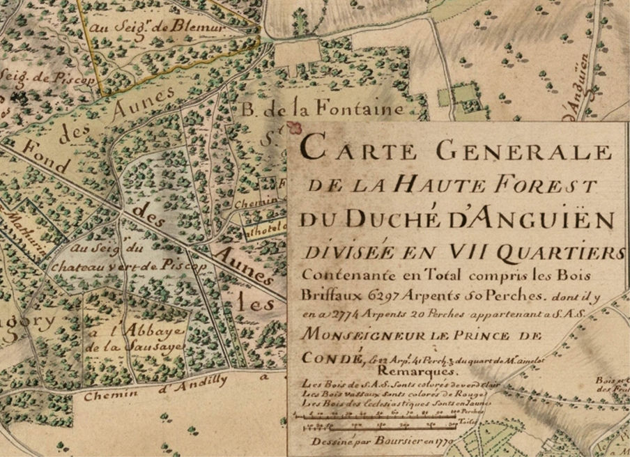 Carte de la forêt.